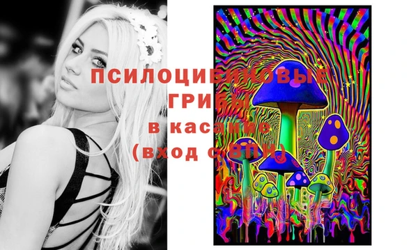 кокаин перу Гусев