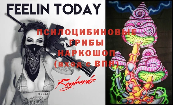 MESCALINE Гусь-Хрустальный